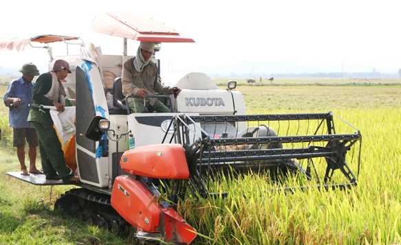 Những ngày tháng Tám trên quê hương Can Lộc anh hùng
